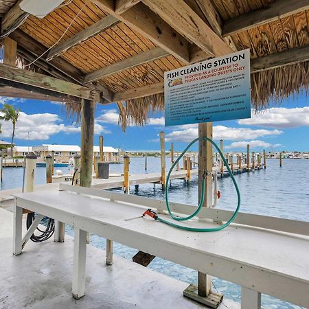 キーウェスト St Kitts - Downtown Waterfront Penthouse Pool Dock Parkingヴィラ エクステリア 写真